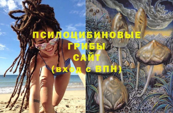 ПСИЛОЦИБИНОВЫЕ ГРИБЫ Аркадак
