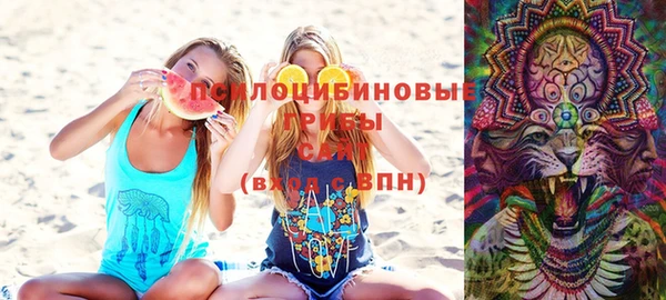 ПСИЛОЦИБИНОВЫЕ ГРИБЫ Аркадак