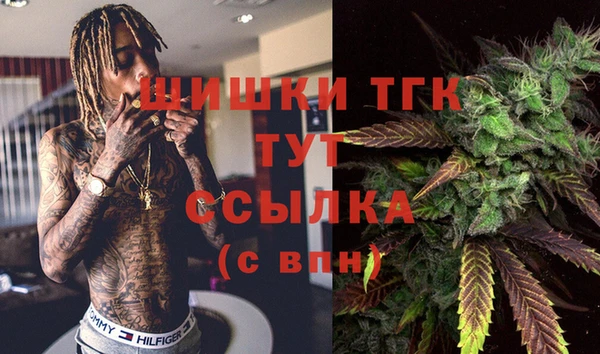 не бодяженный Арсеньев