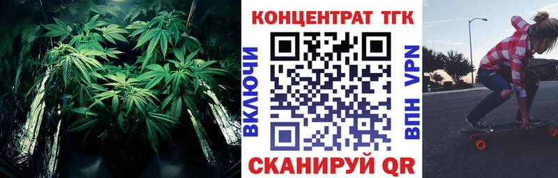 ТГК концентрат где купить Дно