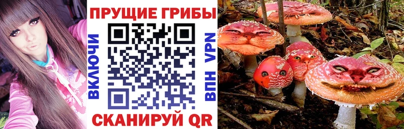 даркнет сайт  Дно  Псилоцибиновые грибы Magic Shrooms 