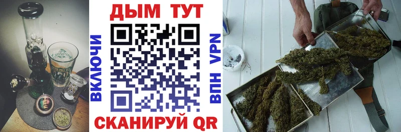 купить наркоту  Дно  Каннабис Amnesia 